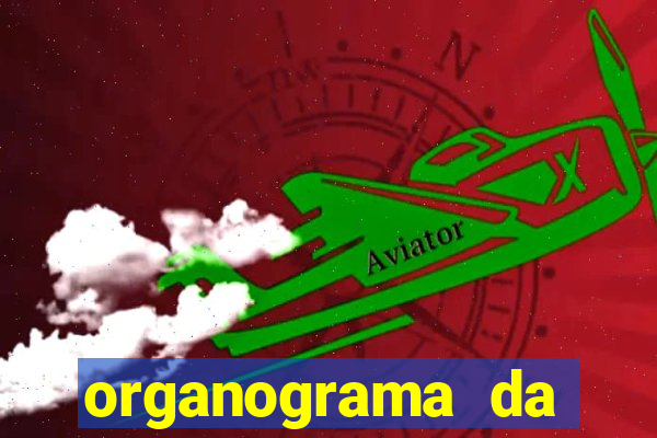 organograma da cacau show